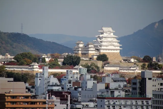 兵庫県 廃車買取